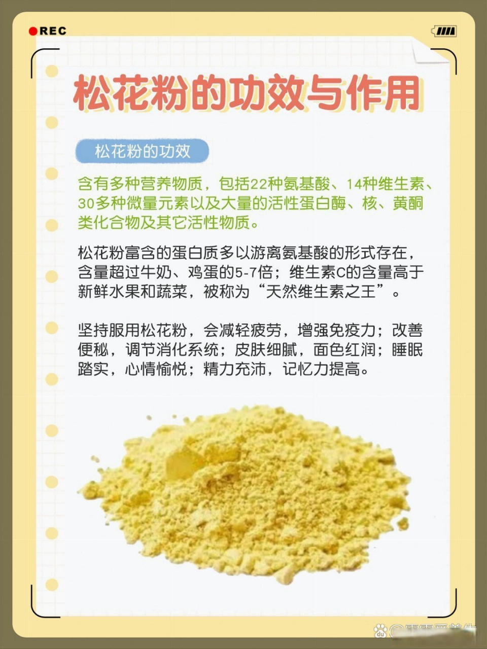 人参松花粉的作用图片