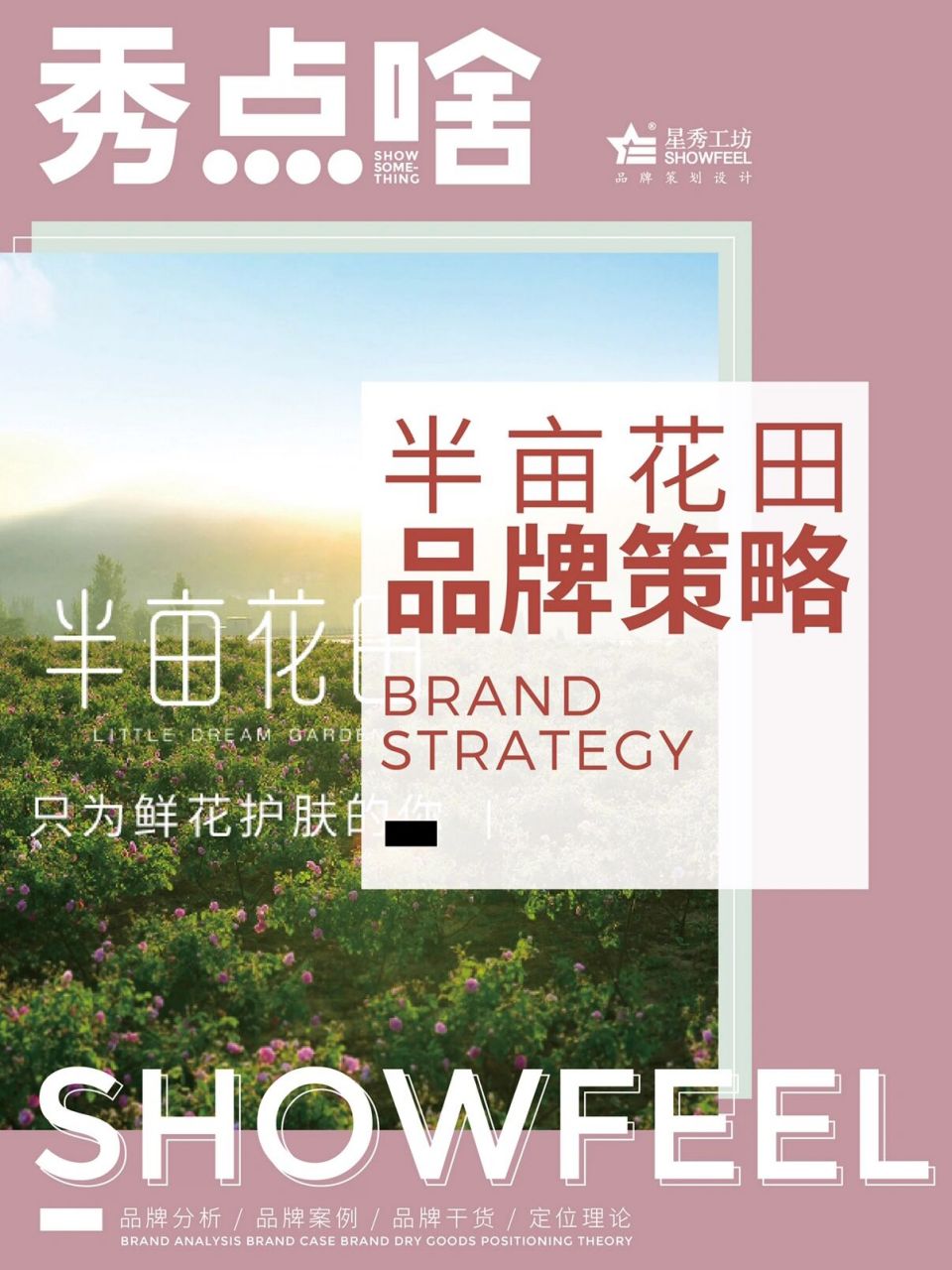 品牌分析|半亩花田品牌策略分享.