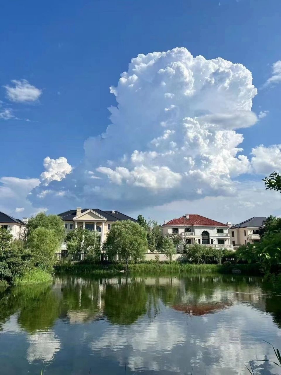 明星豪宅#  #治愈系风景# 今天来润泽御府带客户看房踩盘,没想到连