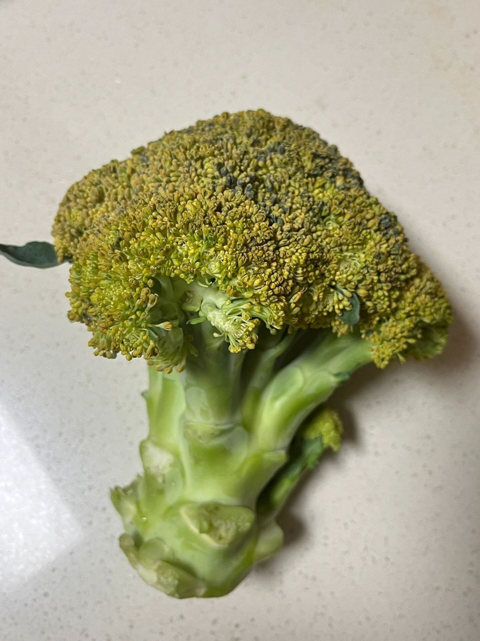 我前天买的西兰花,忘记吃了,昨天一看变黄了 还能吃吗?