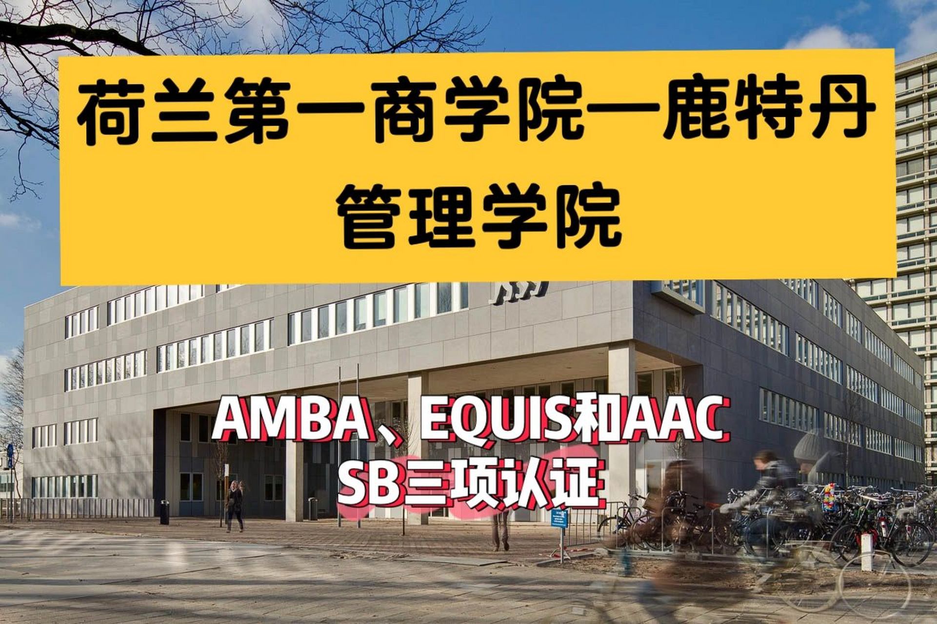荷兰排名第一的商学院—鹿特丹管理学院 99 关于鹿特丹伊拉斯姆斯