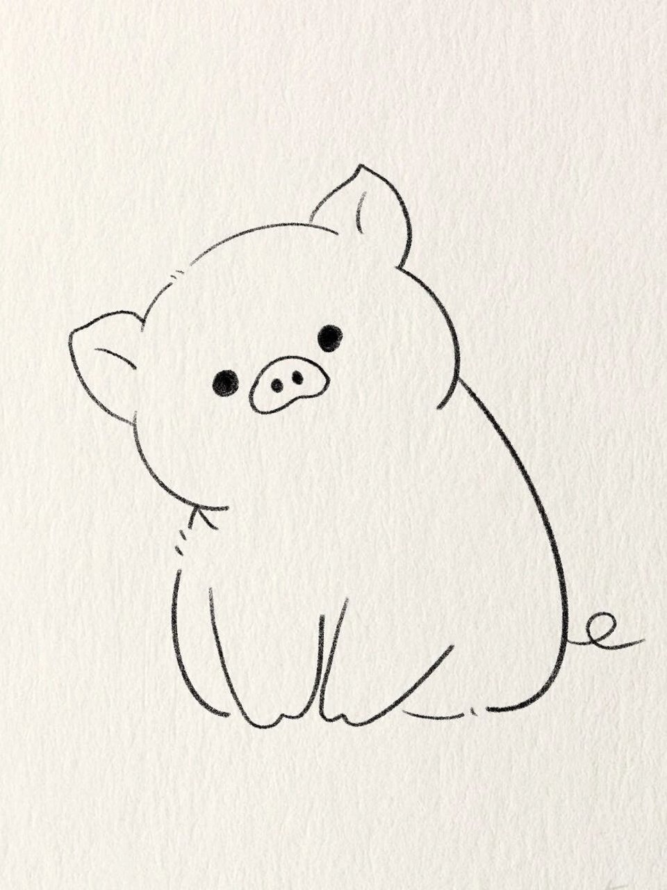 简笔画教程—可爱小猪