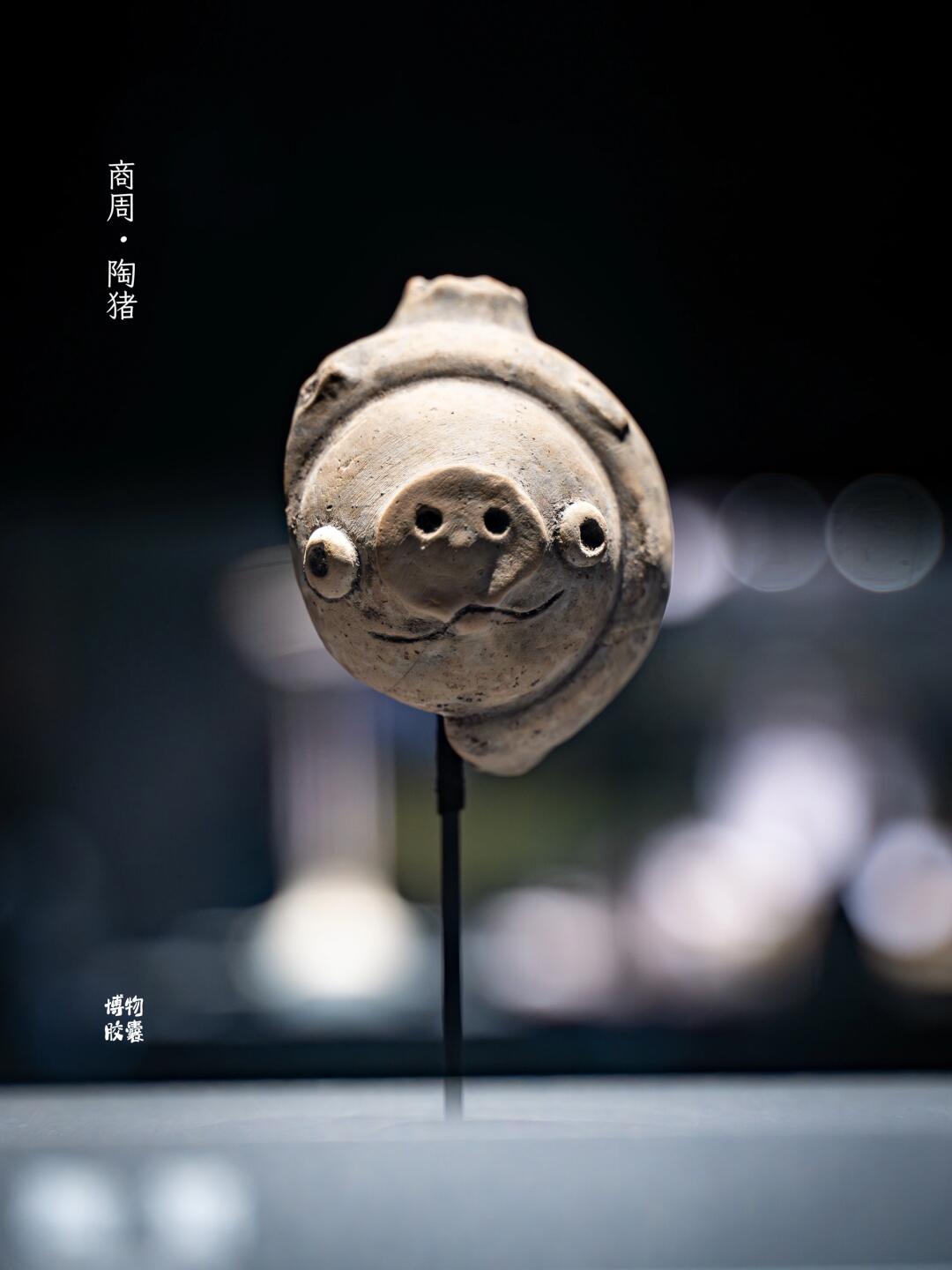 三星堆陶猪,笑傲三千年