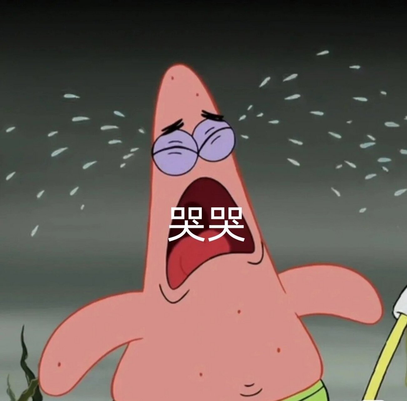 派大星表情包no.2 #派大星