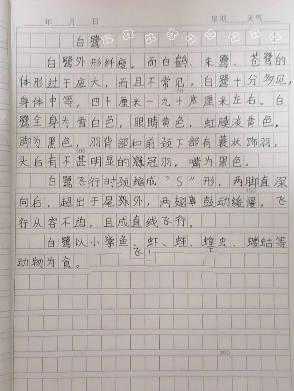 《白鹭》说明文