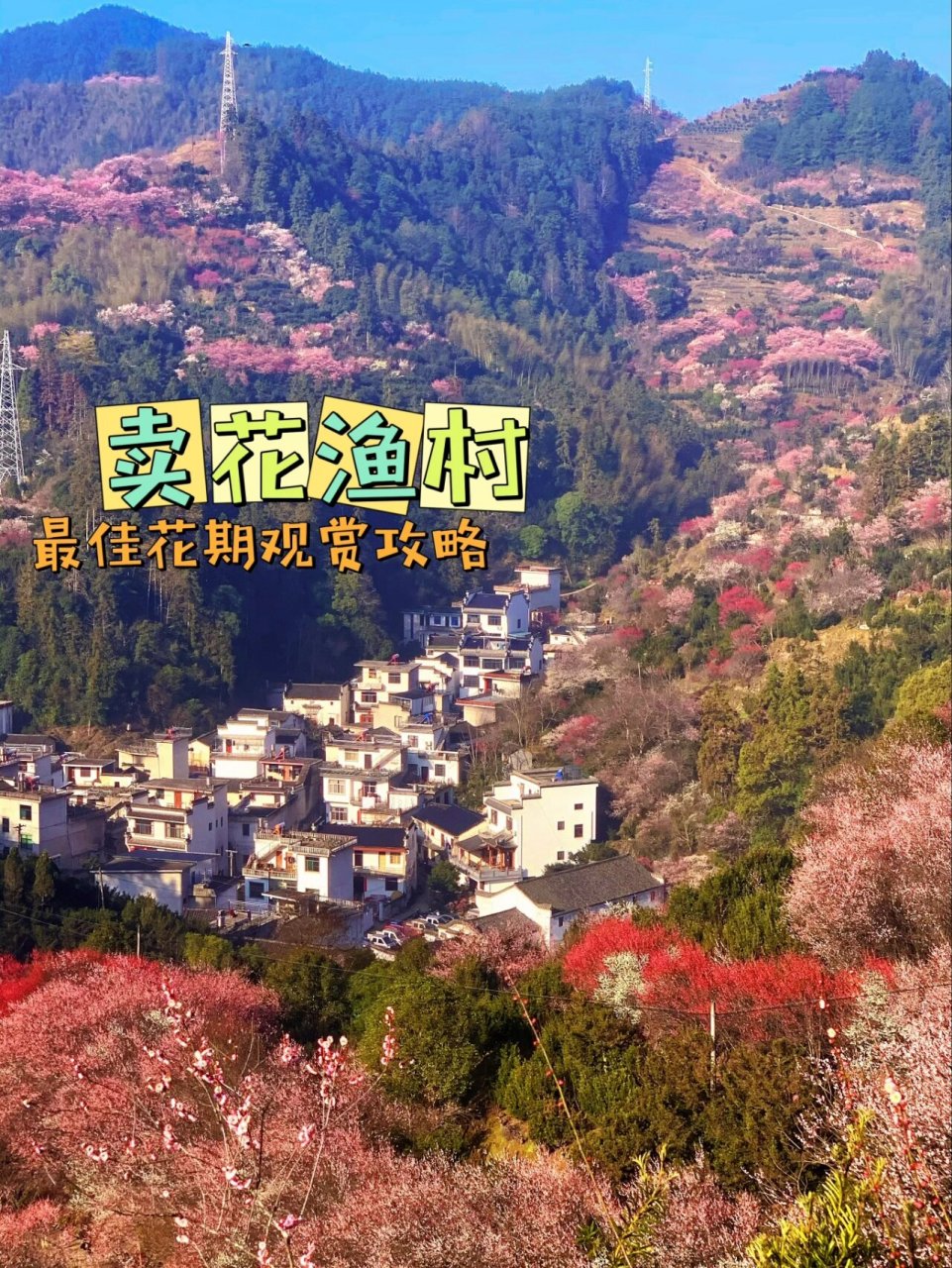 安徽小众旅游～卖花渔村最佳花期 观赏攻略含路线图~