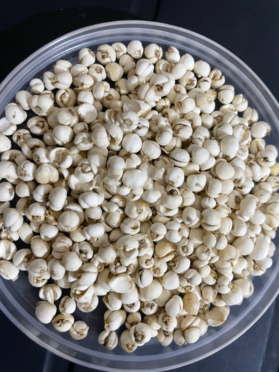 每天认识一味中药 浙贝母川贝母止咳化痰 91贝母 :(浙贝母产地浙江