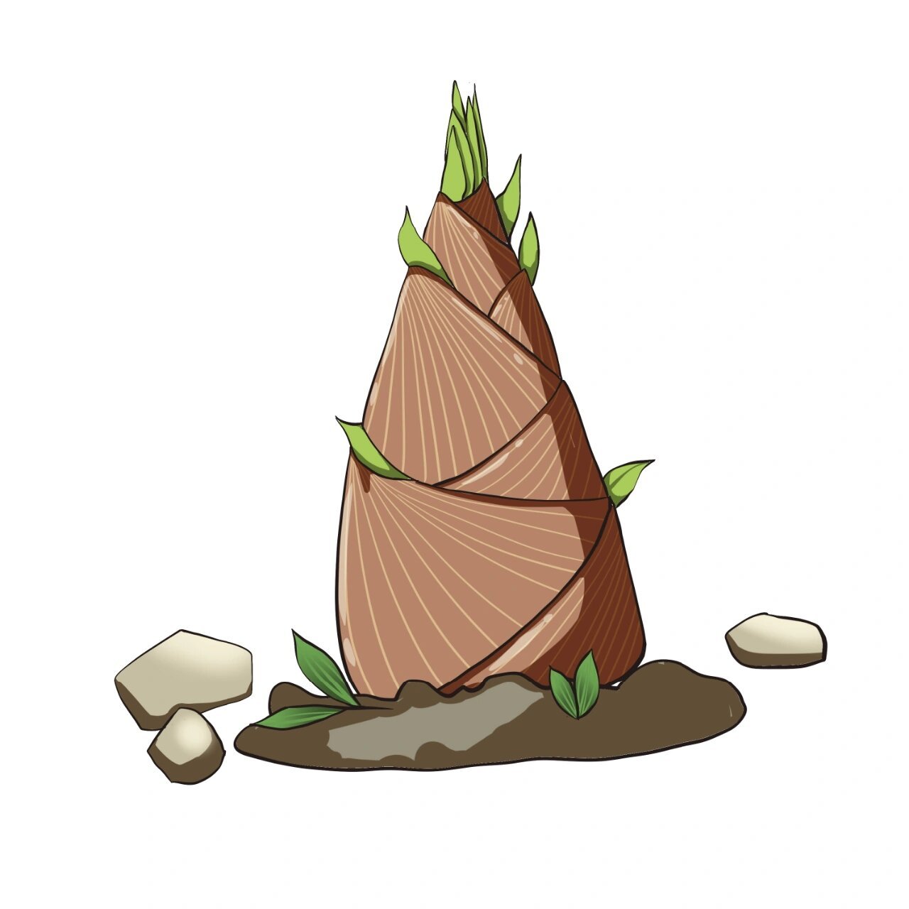 【插画素材】春季竹笋手绘插画元素 99竹笋才生黄犊角,蕨芽初长小儿