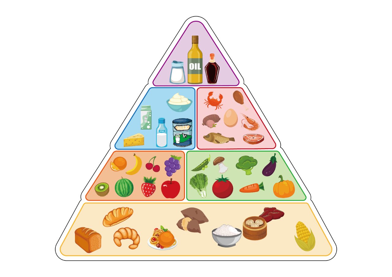 美国食物金字塔图片