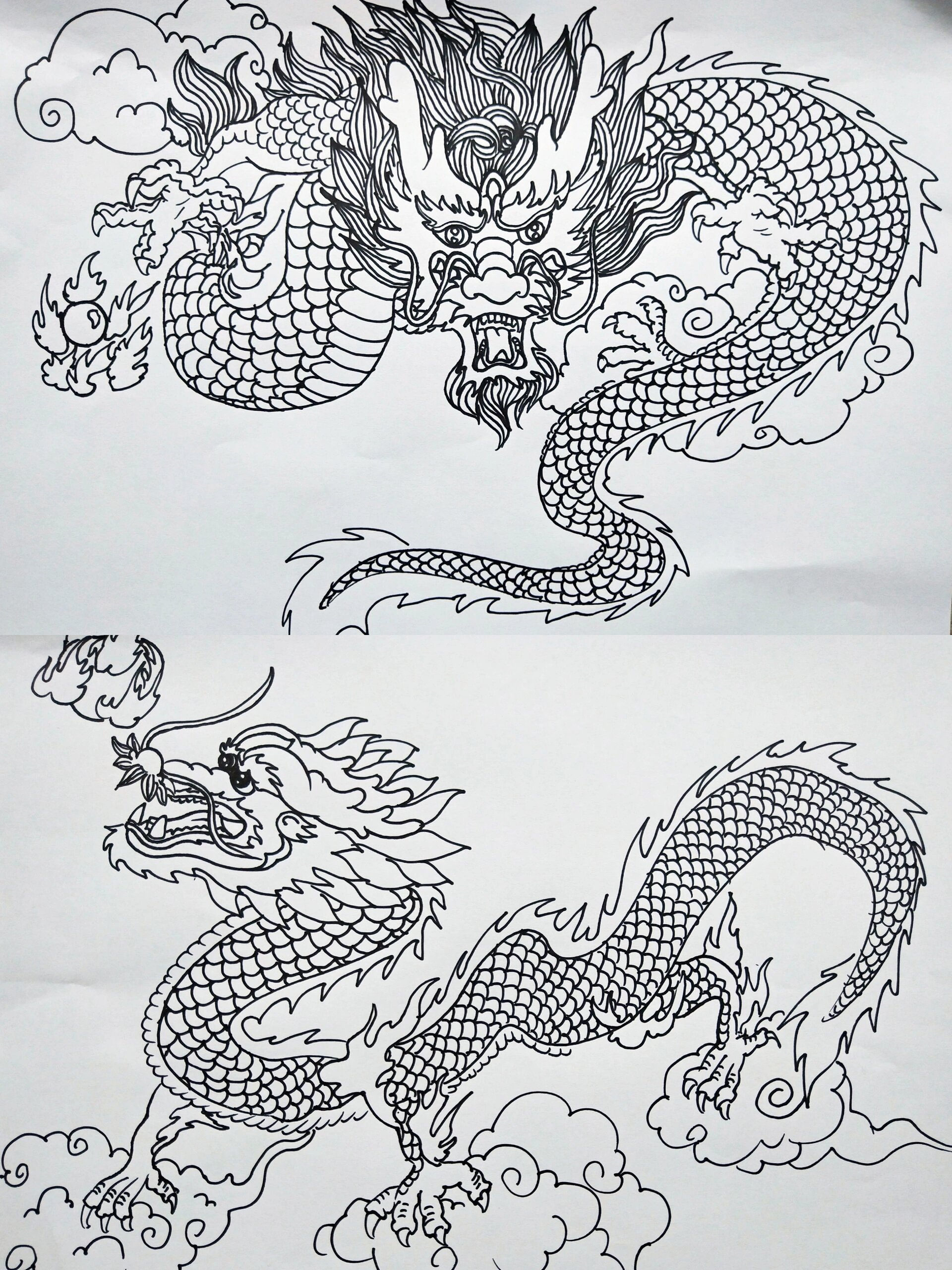 龙画图片线描图片