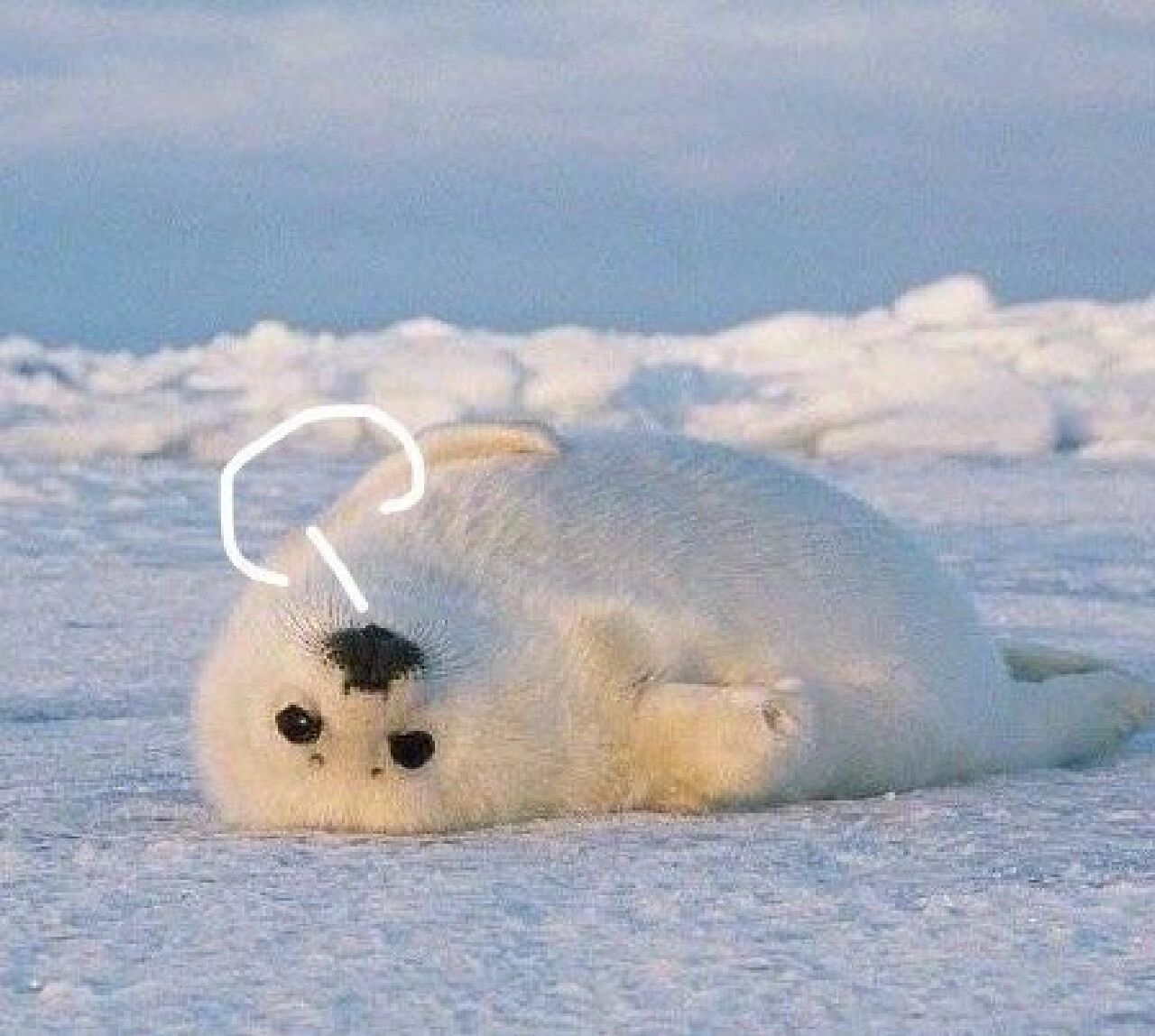 头像| 全员叹气表情包