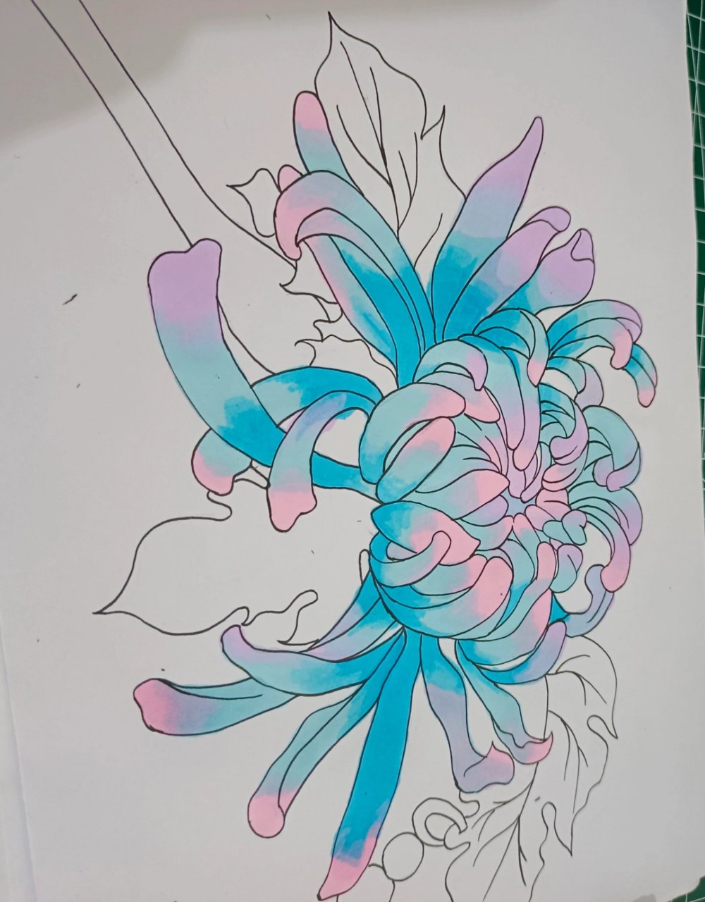 想画就画吧 菊花——马克笔手绘 几张上色过程