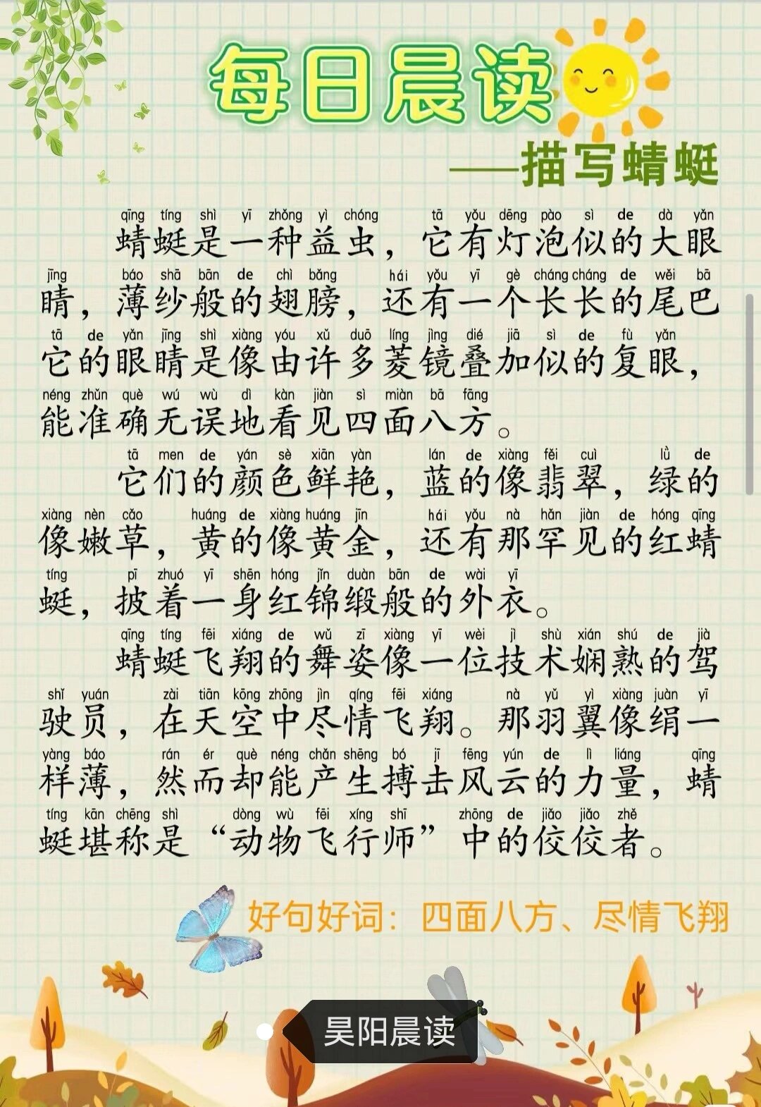 每日晨读打卡第8篇~描写蜻蜓