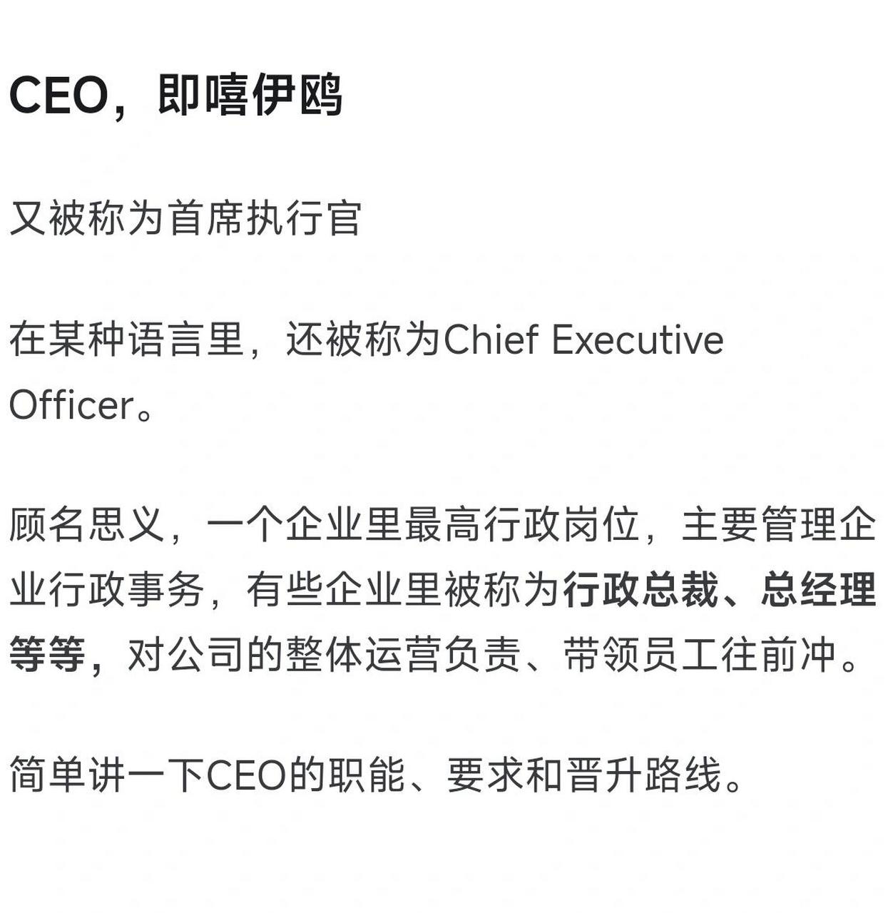ceo,即嘻伊鸥 又被称为首席执行官 在某种语言里,还被称为chief