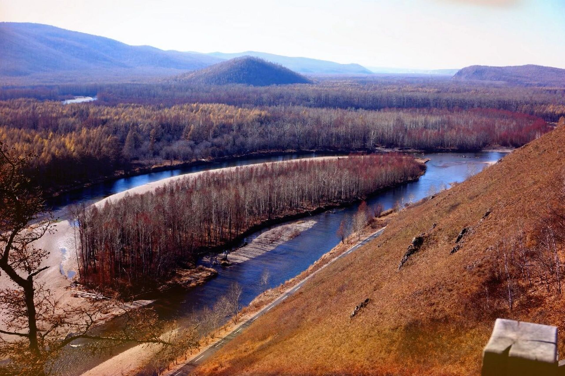摄于呼伦贝尔根河市.#小众景点# #最美秋色