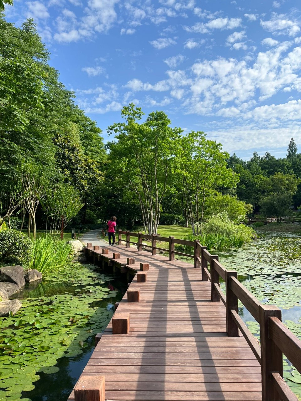 西湖边又一处梦境——长桥溪水生态修复公园 一眼惊艳,一眼沉迷.