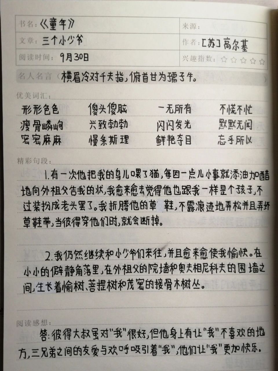 六上课外阅读笔记94《童年》 课外阅读笔记, 《三个小少爷》 笔记