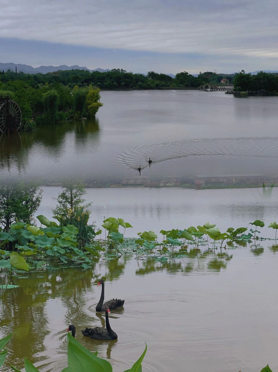 遛娃好去处/ 重庆铜梁玄天湖亲子游 92 住宿——导航重庆荷和原乡