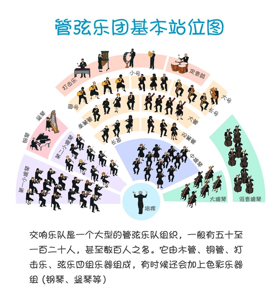 小科普-管弦乐团基本站位图