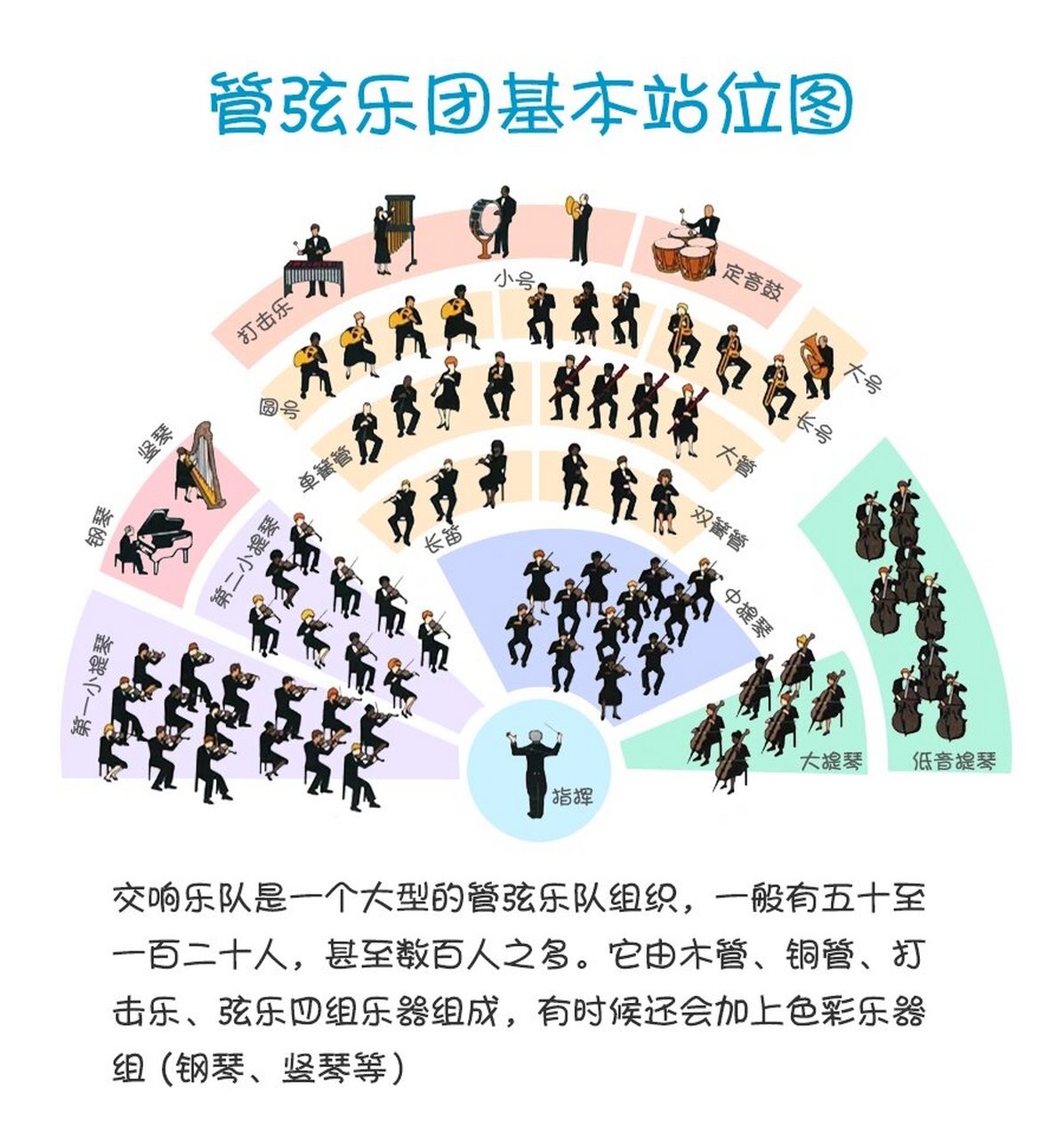 小科普-管弦乐团基本站位图