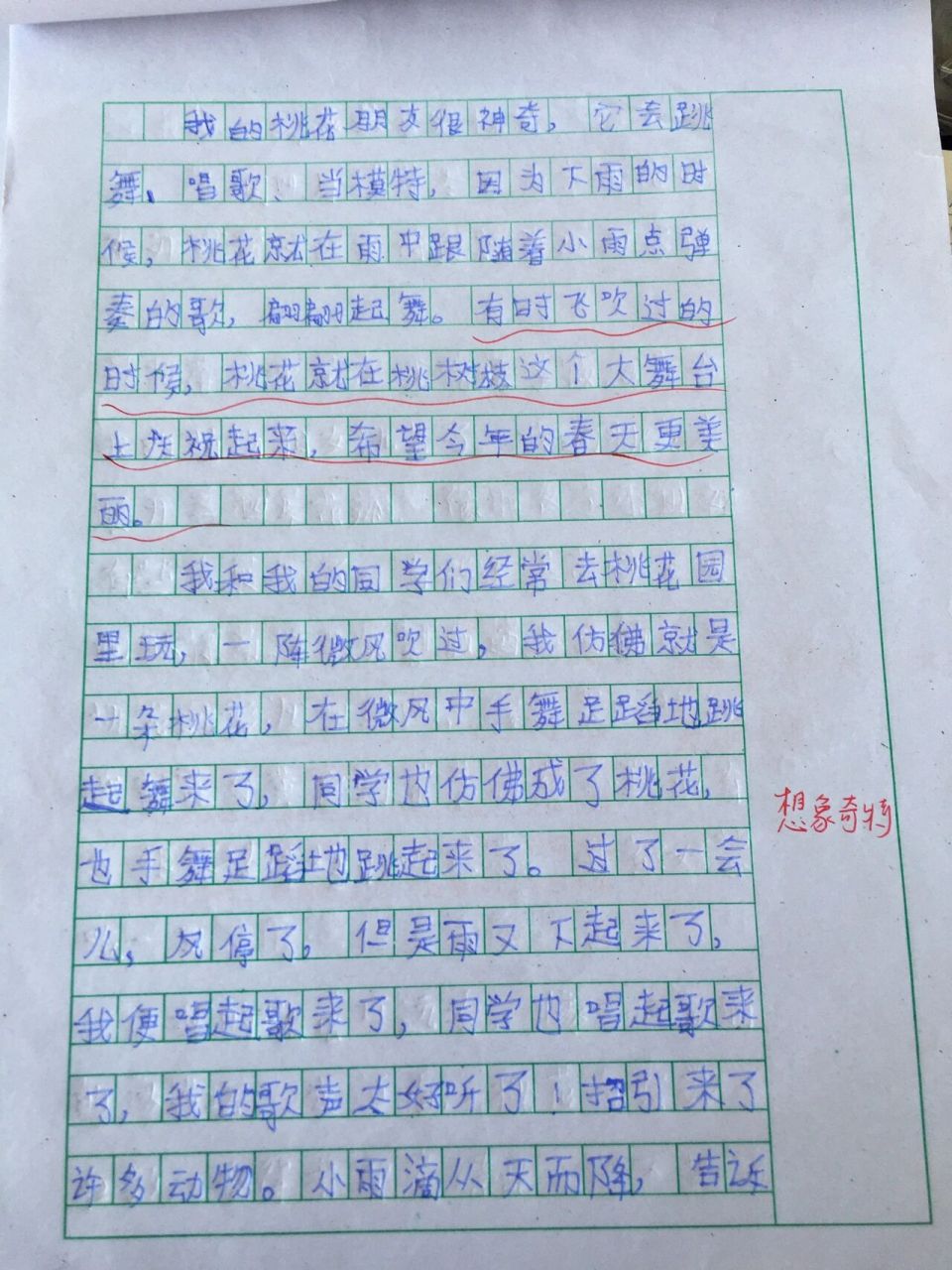 我的植物朋友"桃花" 我的植物朋友"桃花"