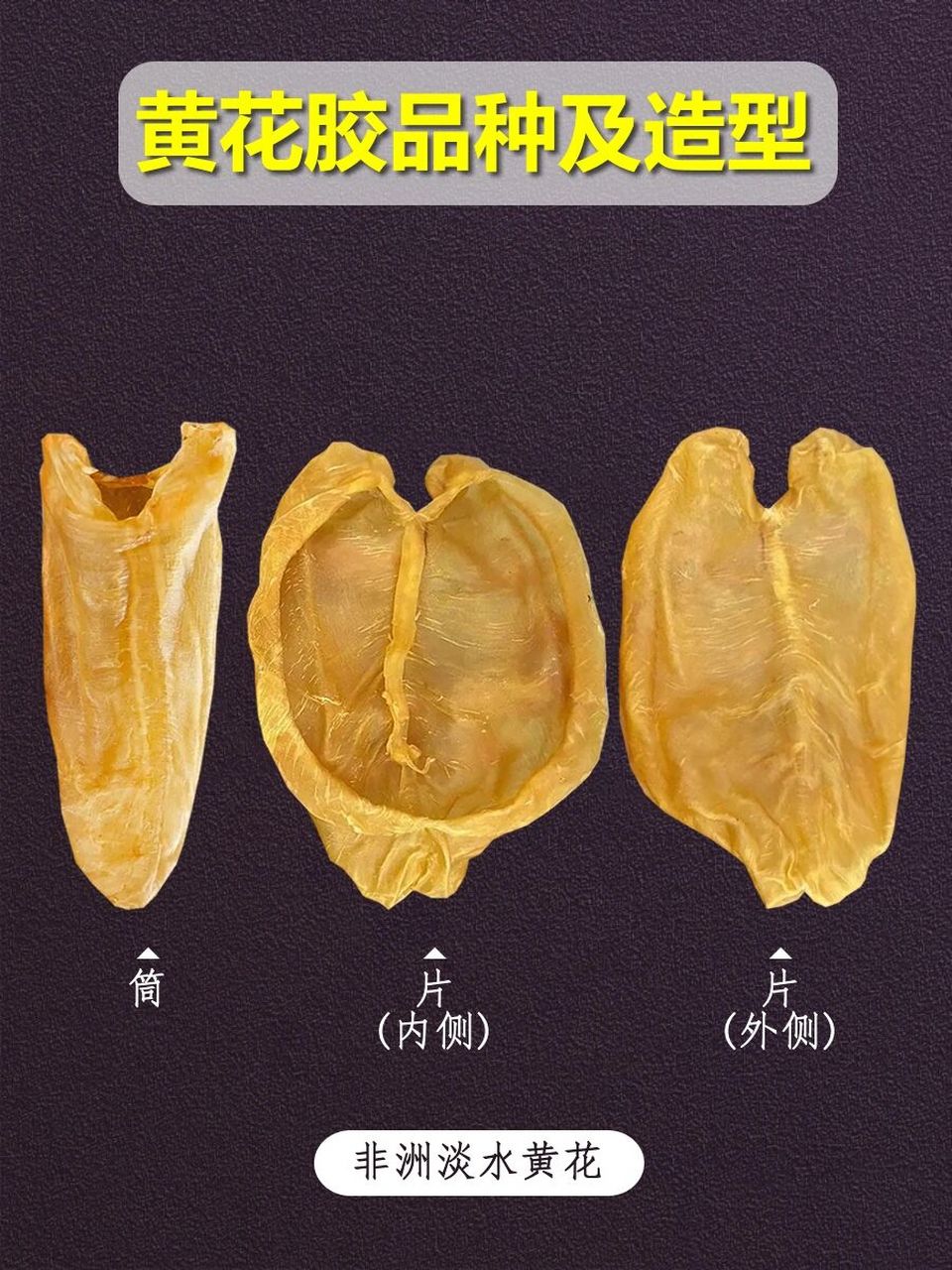 市场不同黄花胶的图片大全 市场黄花胶并不是取自黄花鱼,按鱼种生活