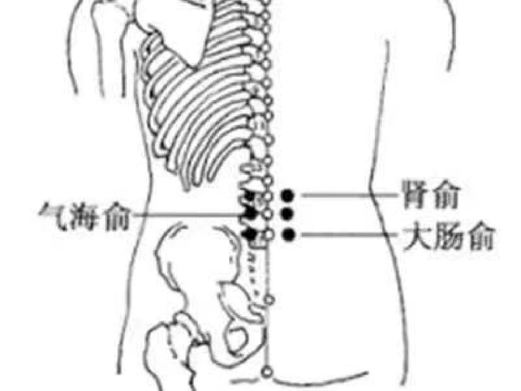 大肠腧图片