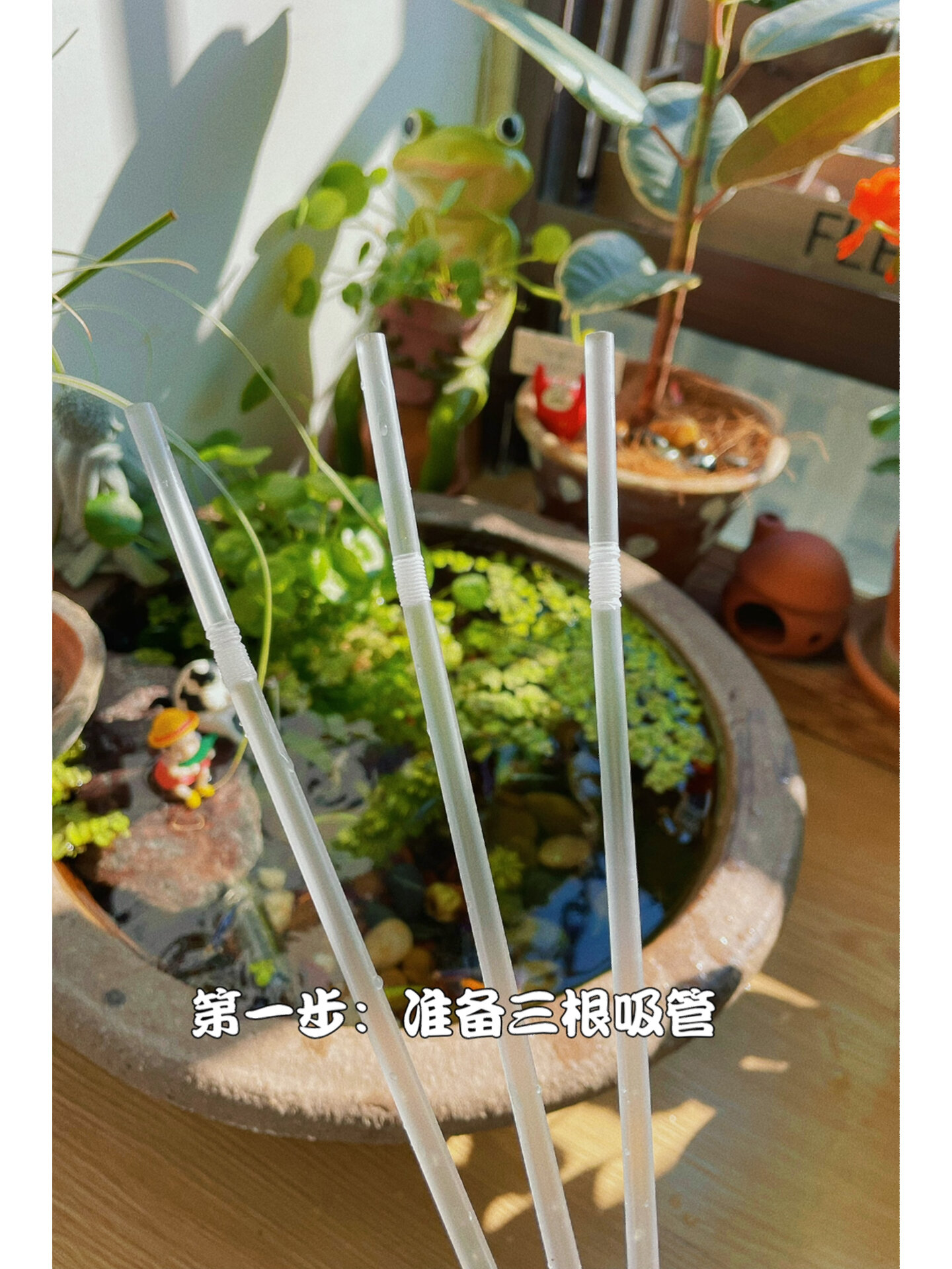 用三根吸管制作一个喂鱼圈95 第一步:准备吸管 第二步:用剪刀剪成