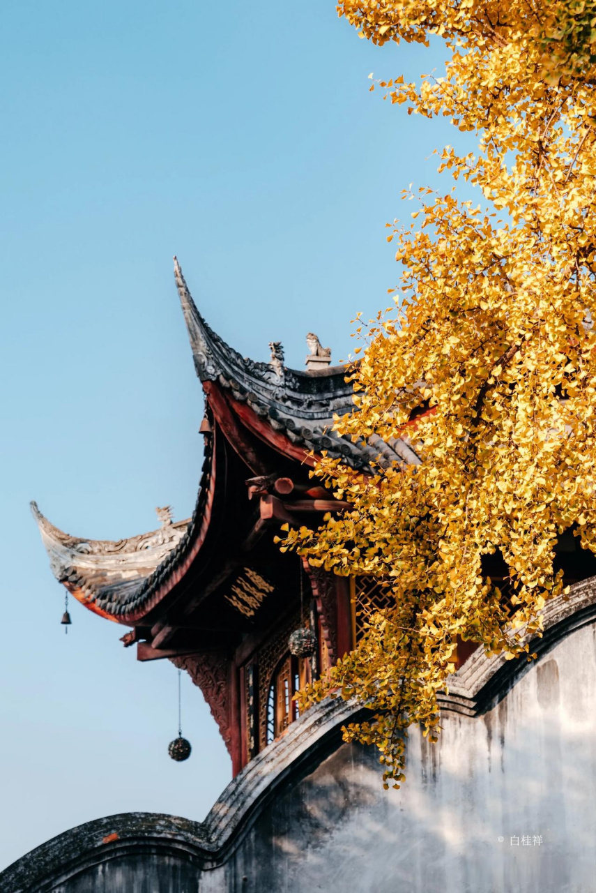 新都宝光寺的审美,在成都寺庙界属于什么水平?