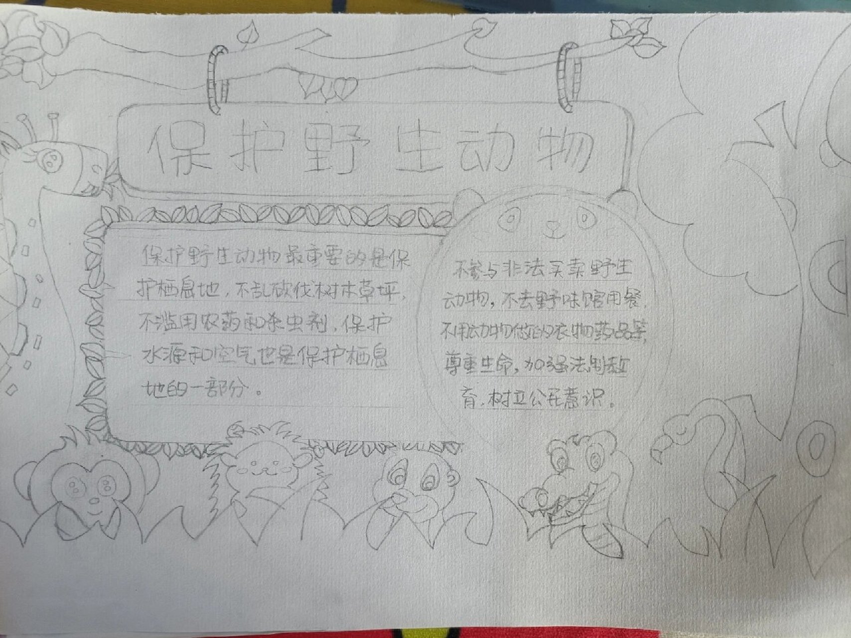 保护野生动物手抄报 让我们一起保护野生动物吧.