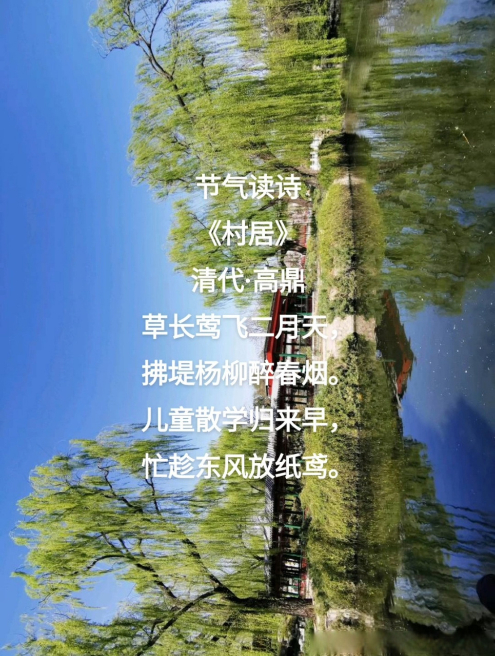 節氣讀詩 《村居》 清代·高鼎 草長鶯飛二月天, 拂堤楊柳醉春煙.