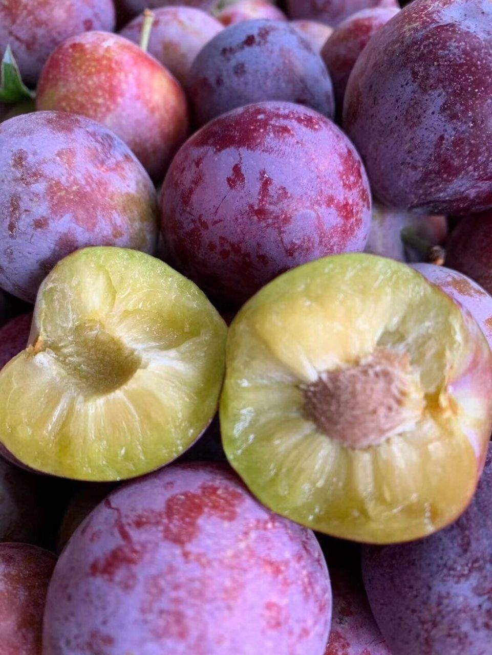 停不下来🤪 脆李季节来啦🌟 红的发紫,脆甜多汁 脆红李又叫红脆李