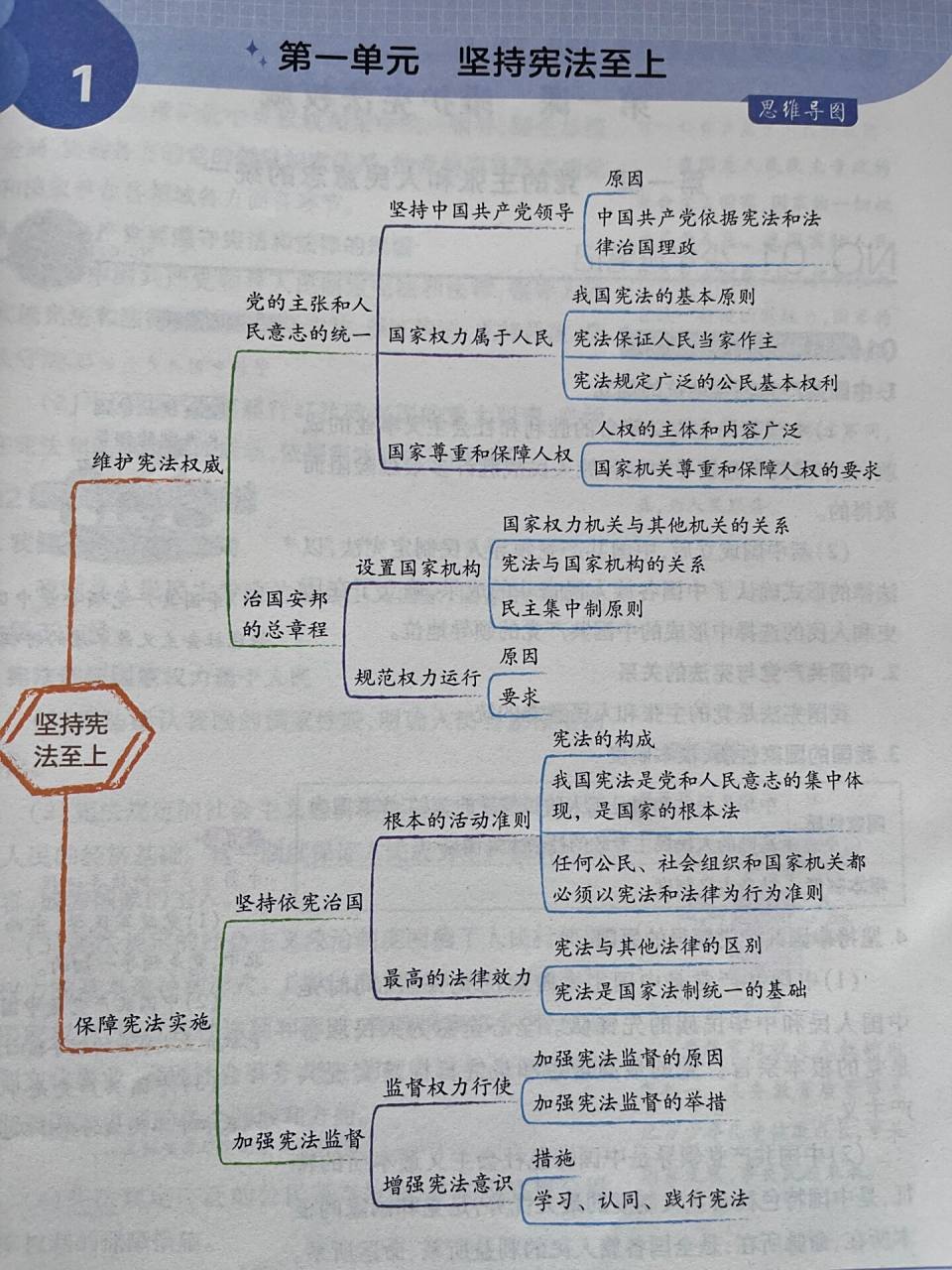 八下期中道法(政治)思维导图(知识框架)来啦 八下期中考试第一,二单元