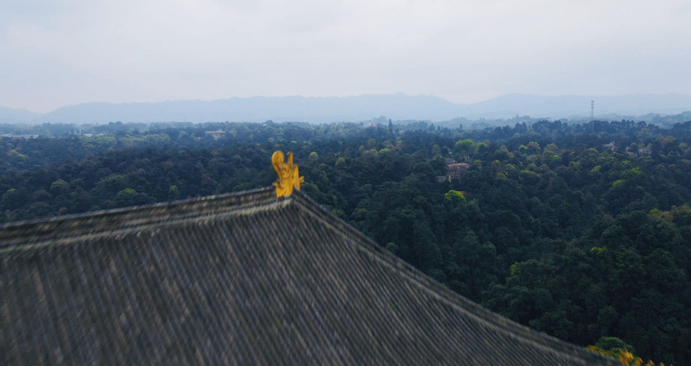 陪朋友来蒲江石象湖看一个住假项目,听销售说这附近有一个寺庙,挺壮观