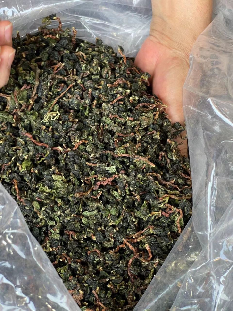 毛茶,铁观音毛茶,未加工的茶,属于最原始,最原汁原味的茶!