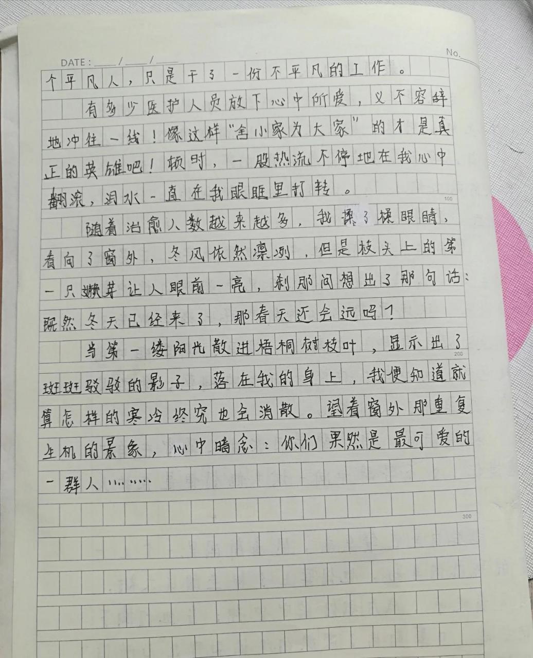 最可爱的人作文500字图片