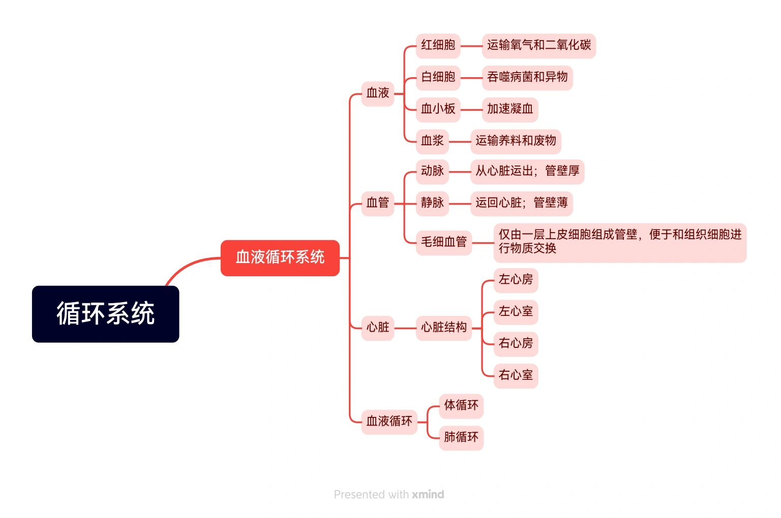 北京初中生物笔记分享|循环系统思维导图