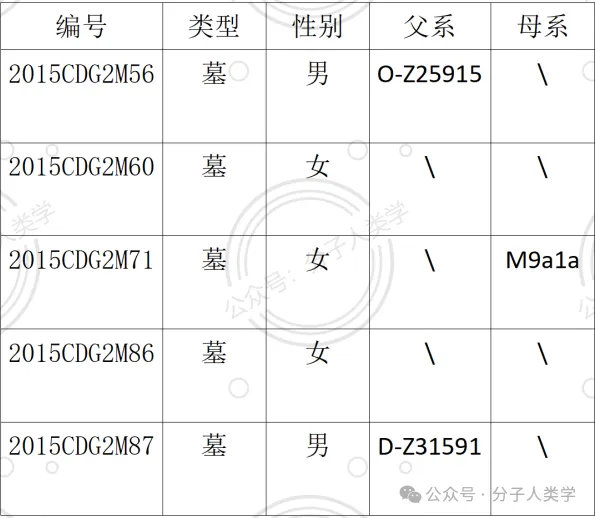 三星堆人骨DNA图片