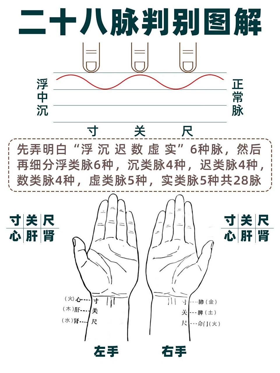 切脉:浮沉迟数虚实六类二十八脉图解 切脉看似复杂