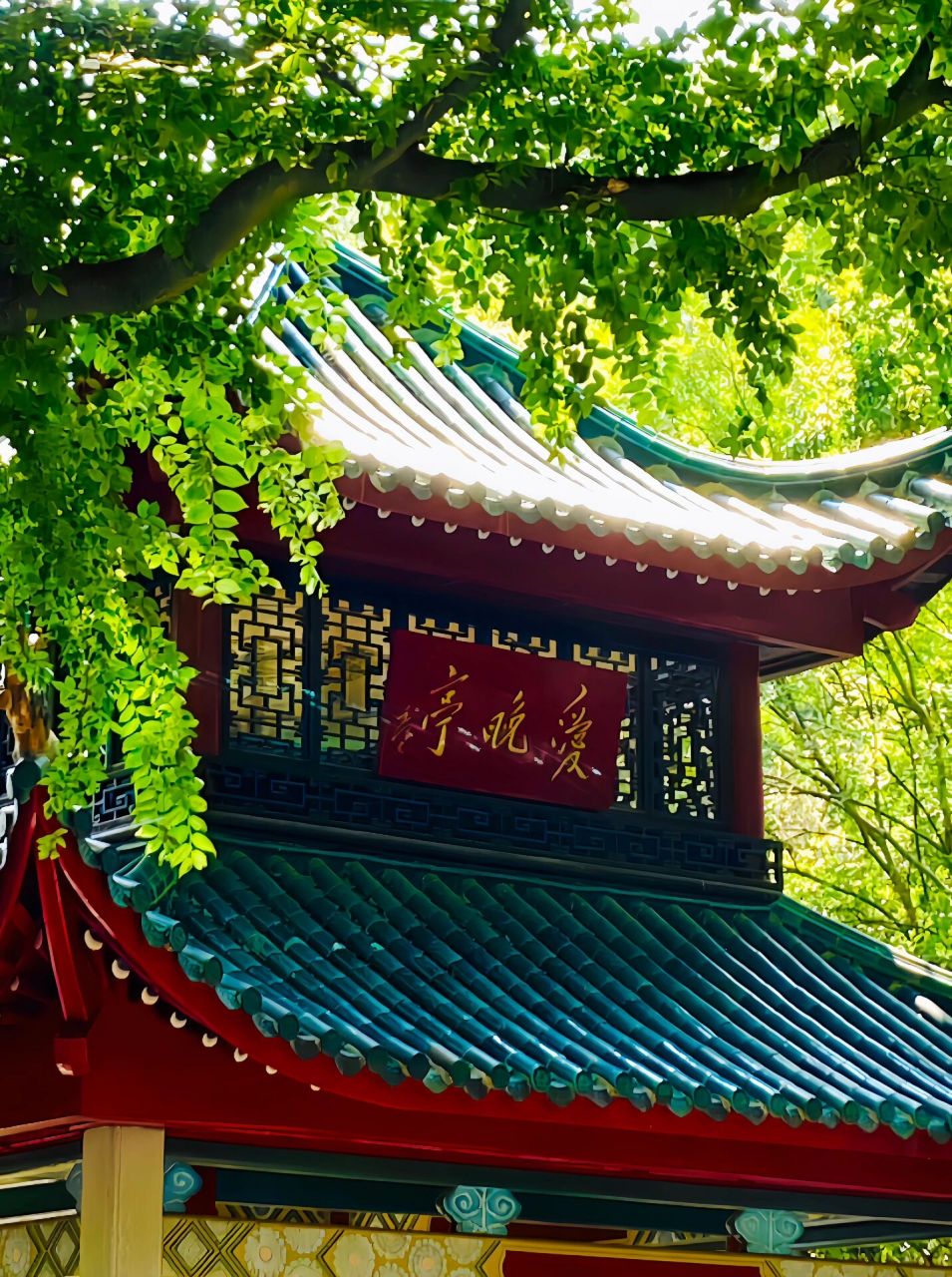 爱晚亭 想看看大家拍的爱晚亭00