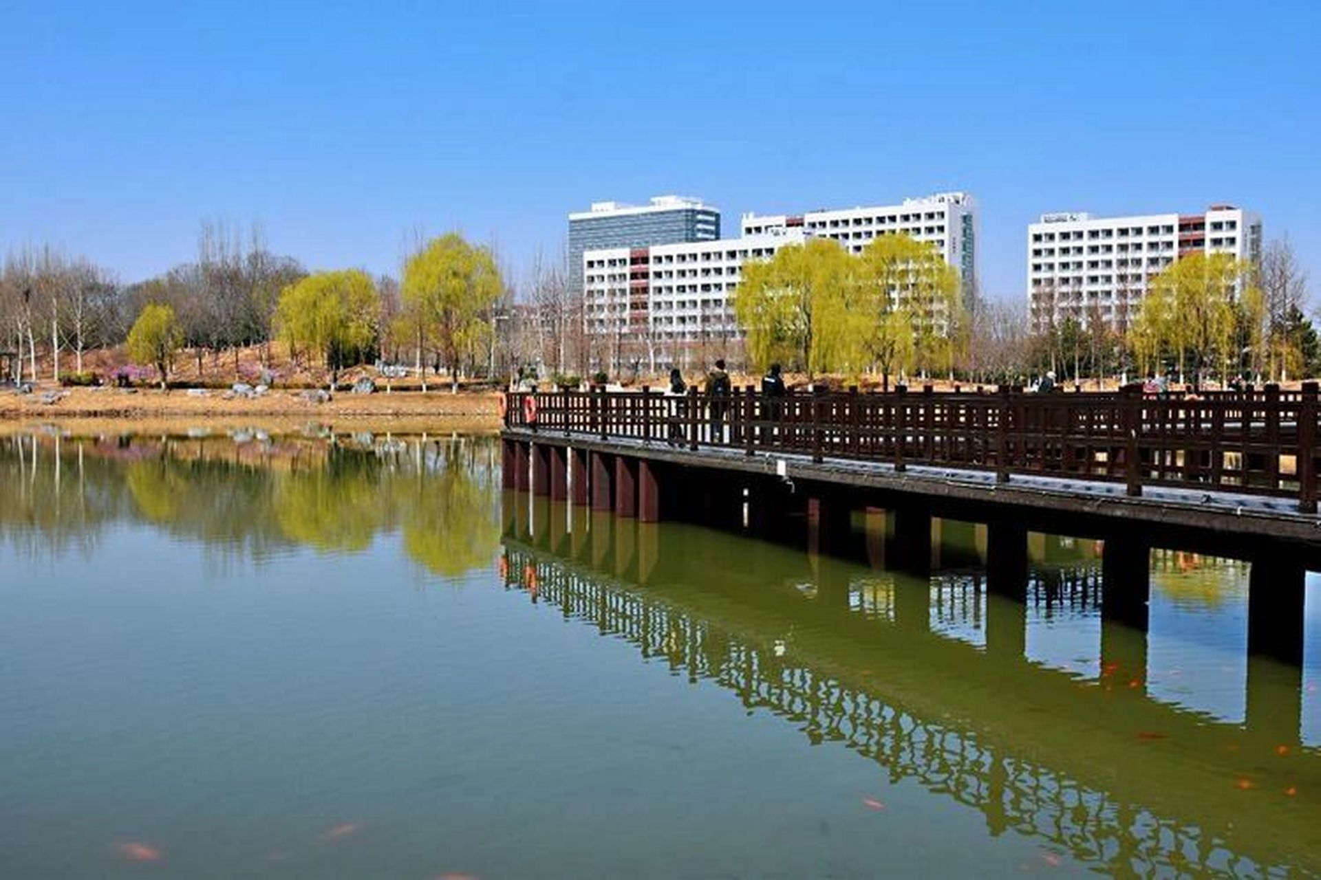 学校介绍:北京理工大学,简称"北理工",是隶属于中华人民共和国工业和