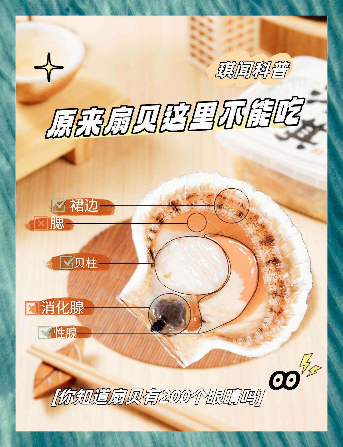 扇贝可食部位有哪些