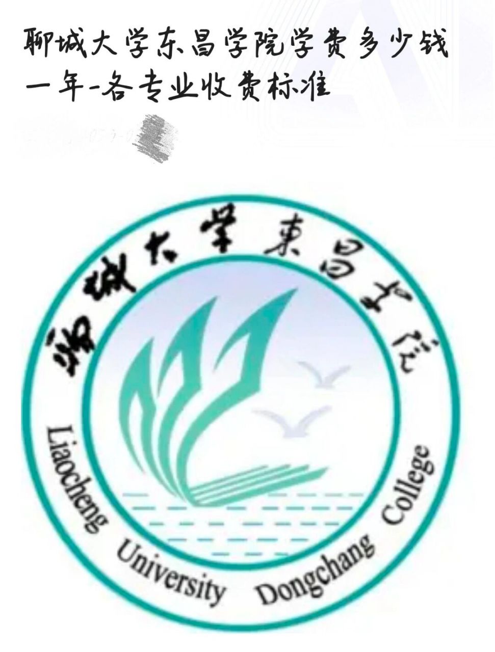 聊城大学东昌学院学费一览表 宝子们,聊城大学东昌学院学费整理出来啦