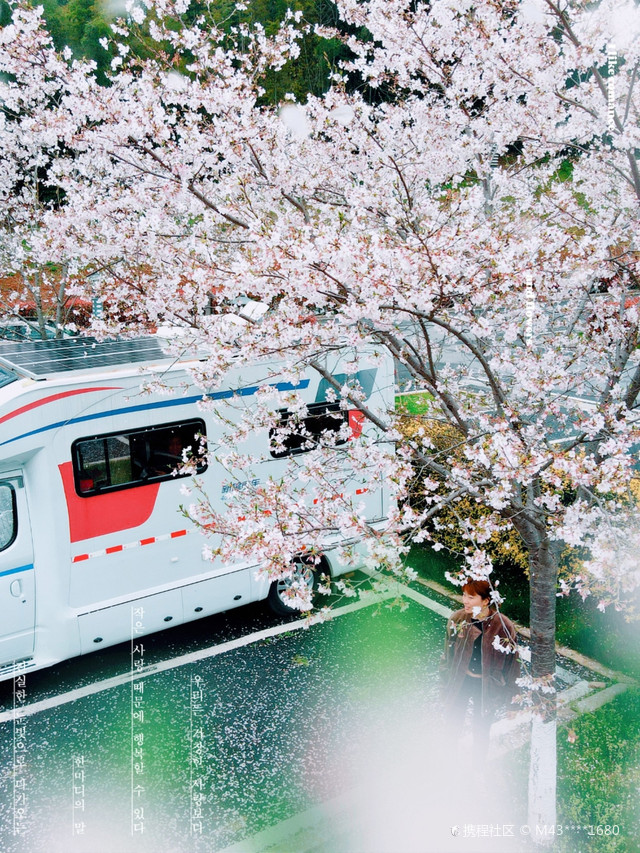 明月山花海原居图片