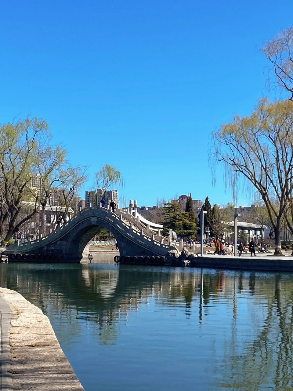 向右划7915一起欣赏龙潭公园的初春美景   要说龙潭公园,从小到大