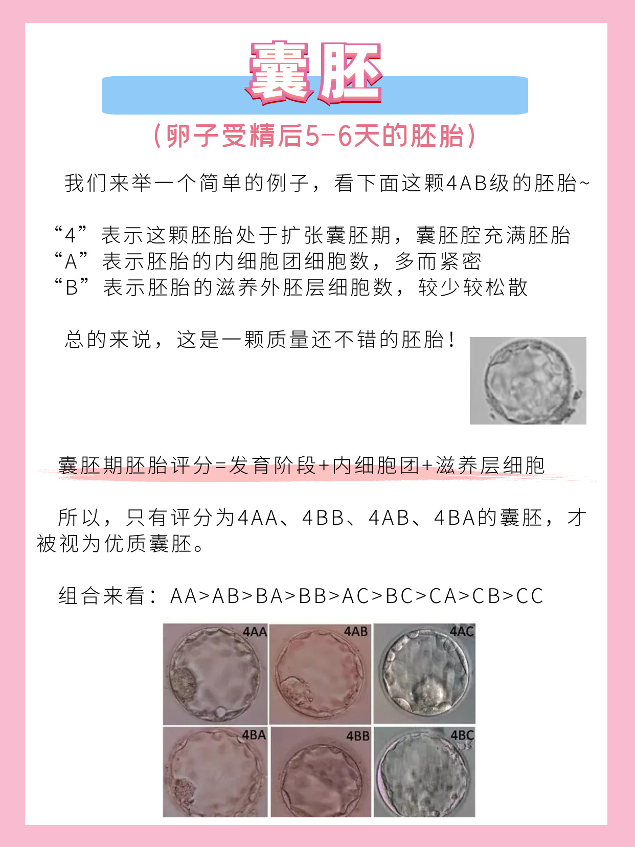 医生,我的胚胎质量怎样?移植成功率高吗?