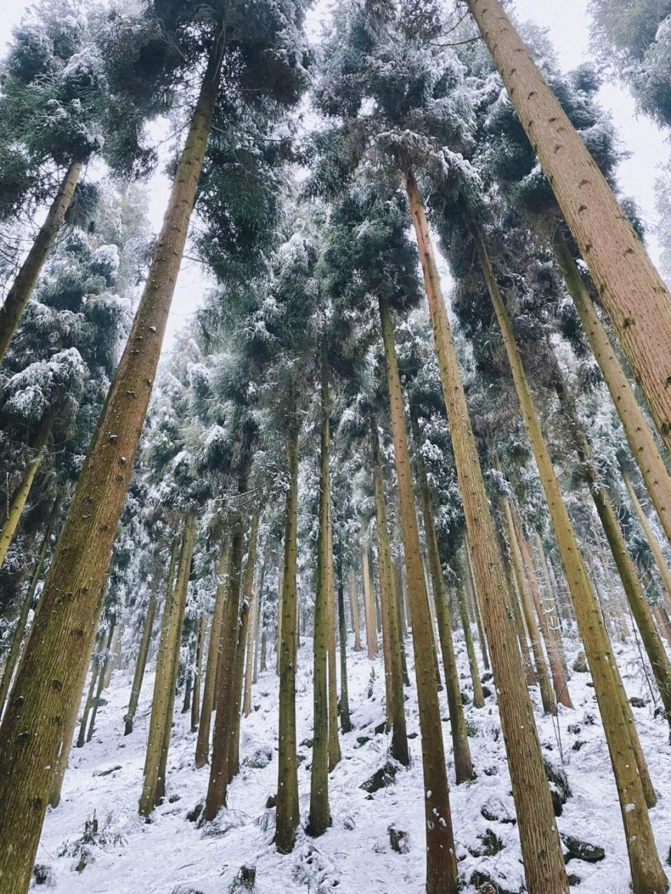 神瀑沟旅游景区雪景图片