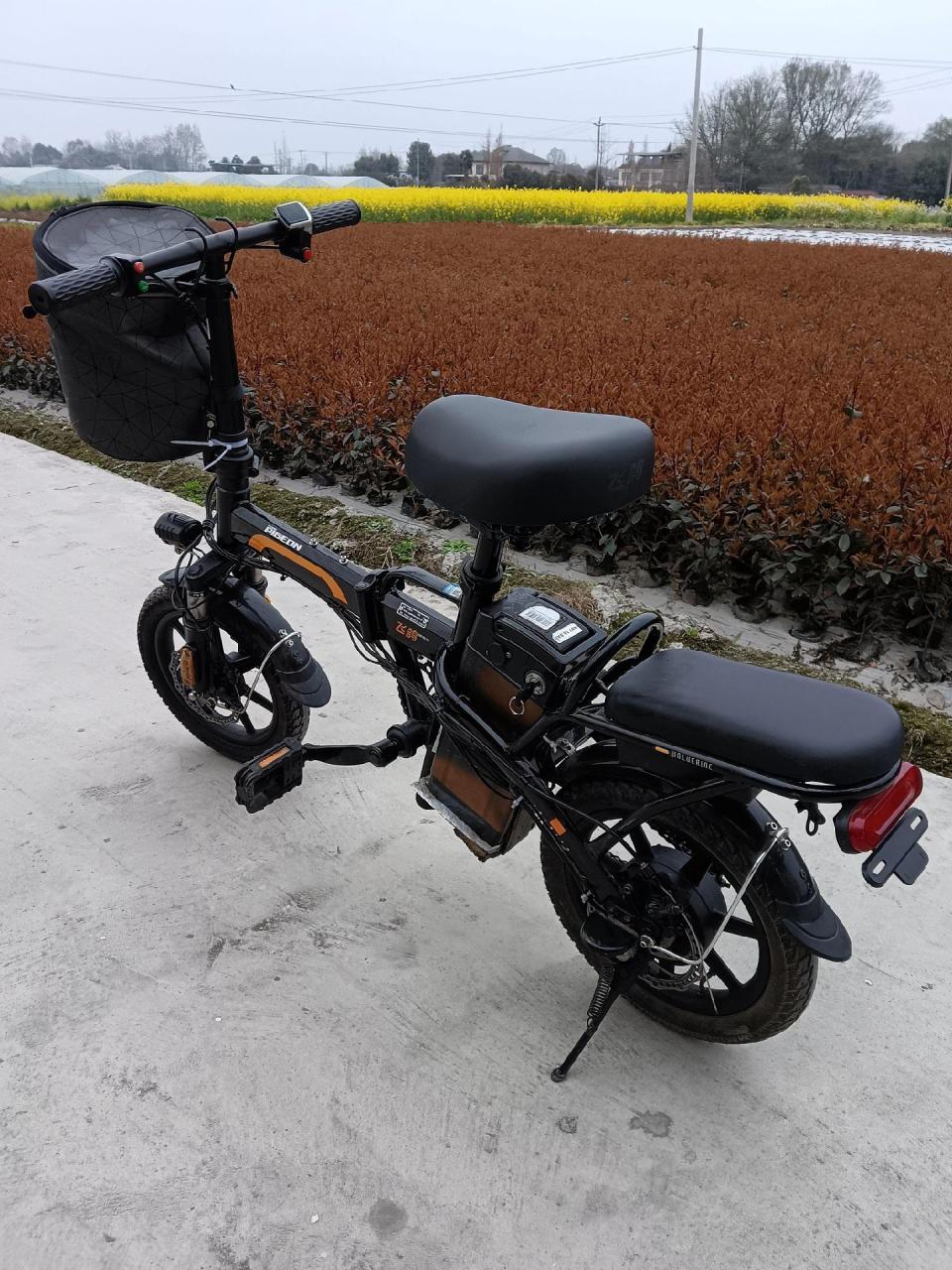 到货代驾折叠两轮电动车,飞鸽牌的,48v16.