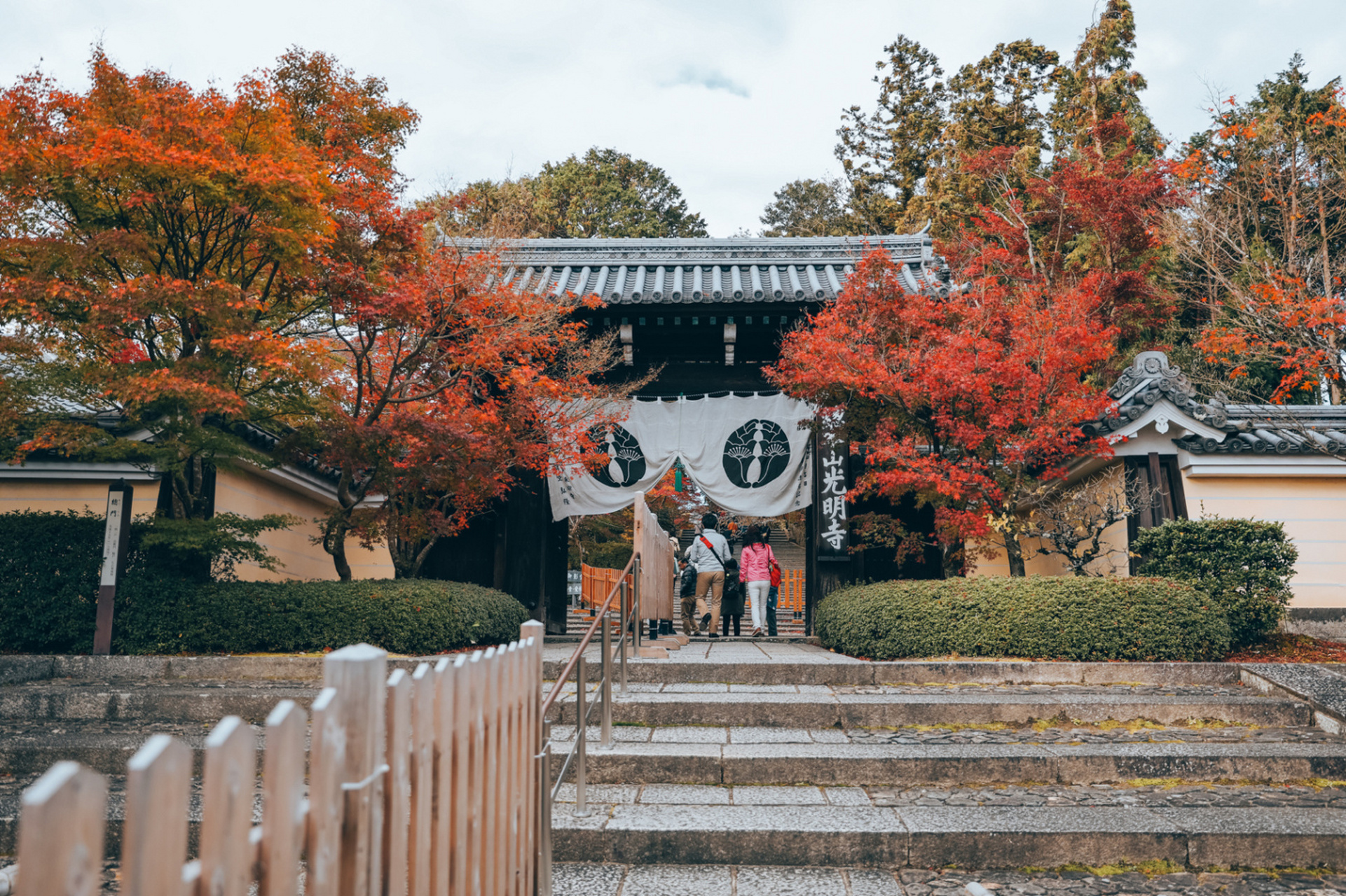 京都赏枫|长冈京光明寺 应该是18年11月28～ #京都