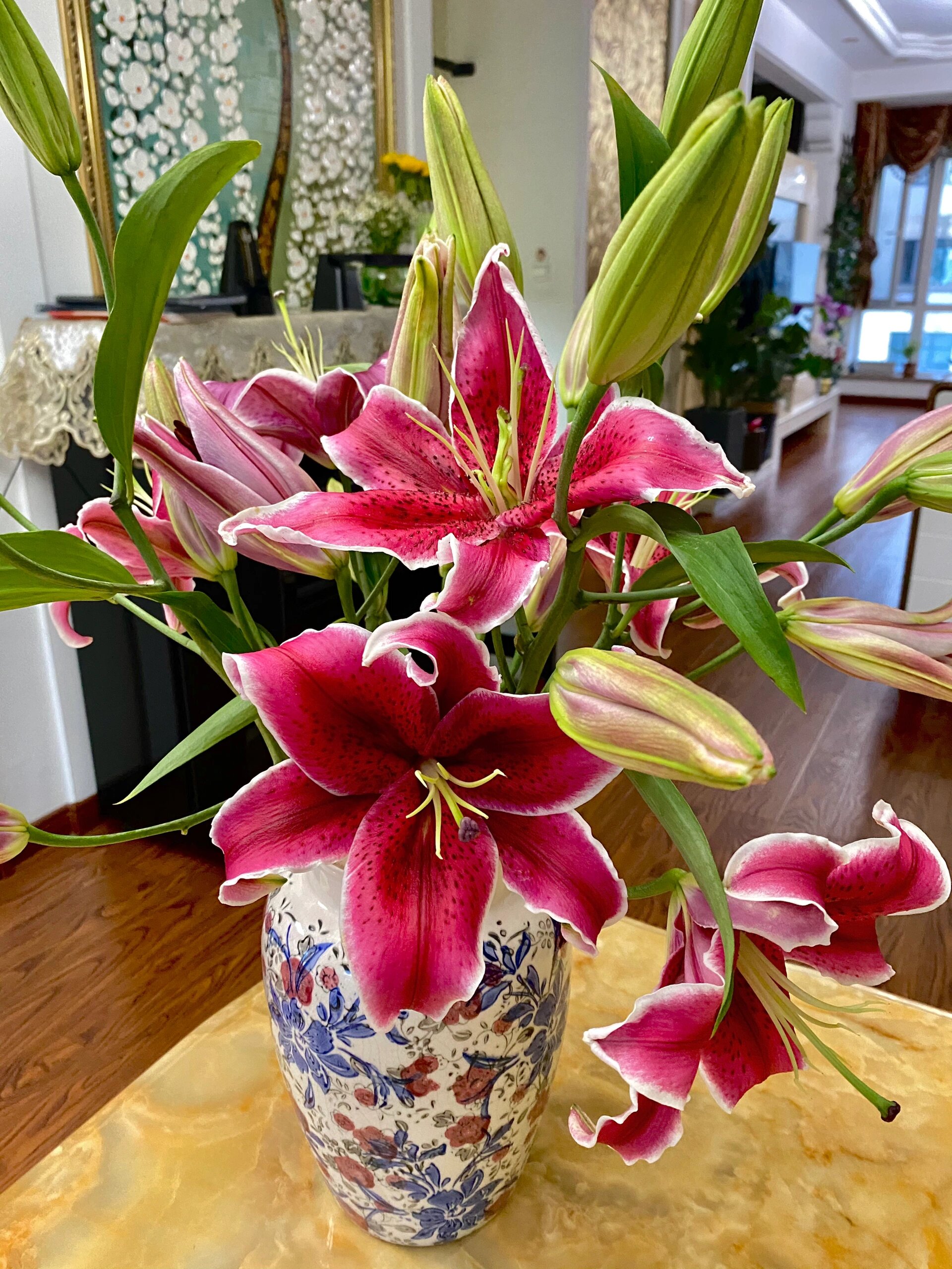 卡瓦娜(黑美人百合) 94黑美人百合·卡瓦娜 卡瓦娜百合颜色呈朱红色